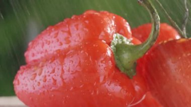 Vejetaryen yemeklerini yakın plan yıkıyorum. Suyun altında biber ve domates.