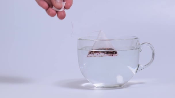 Infusor de té de frutas en una taza transparente — Vídeos de Stock