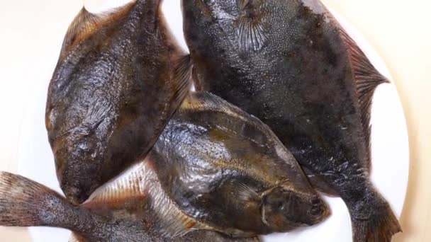 Raw fish flounder close-up rotates — Stok video