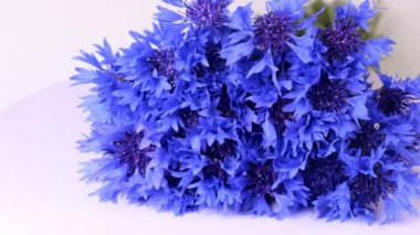 Beyaz arkaplanda mavi çiçek yakın plan