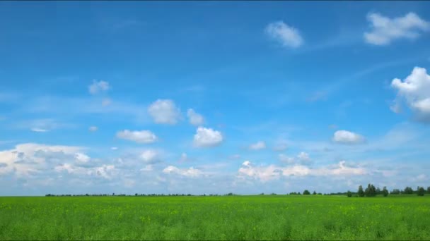 Nuvens sobre o campo de time-lapse. movimento da nuvem — Vídeo de Stock