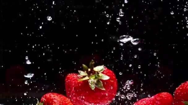 Erdbeeren fallen in Slomwasser auf schwarzem Hintergrund — Stockvideo