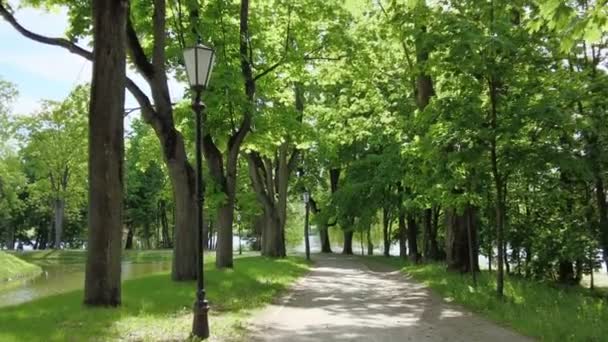 Рух на зеленій парковій дорозі в літній ранок — стокове відео
