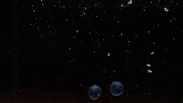 Lambat gerak tetesan blueberry ke dalam air pada latar belakang hitam — Stok Video