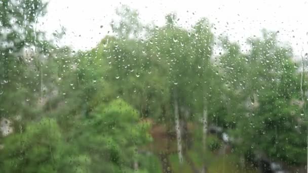 Gotas de lluvia fuera de la ventana. día lluvioso fuera de la ventana. lluvia sobre un fondo borroso — Vídeo de stock
