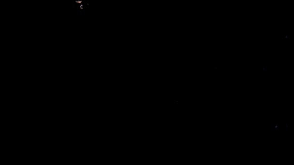 Полуниця падає в слизьку воду на чорному тлі — стокове відео