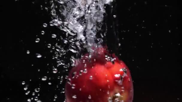 Nectarinas rojas maduras caen al agua sobre fondo negro — Vídeo de stock