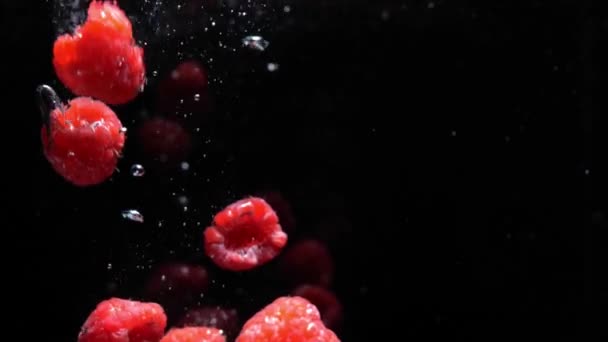 Slow motion raspberry falling into water on black background — Stok Video