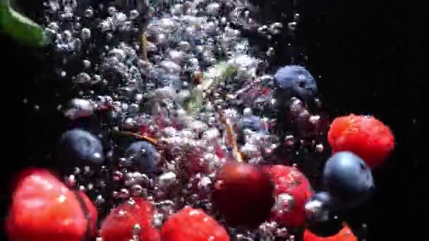 Повільна крапля ожини полуниці у воду на чорному тлі — стокове відео