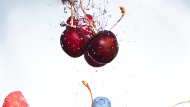 Gota lenta de frambuesa de fresa en agua sobre fondo blanco — Vídeo de stock