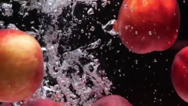 Érett piros nektarin esik vízbe fekete alapon — Stock videók