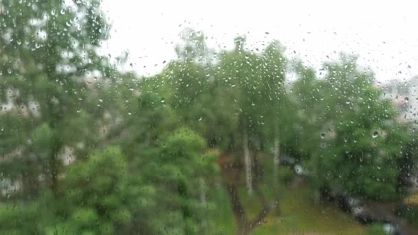 窓の外の雨滴。窓の外で雨の日。背景に雨が降り — ストック動画