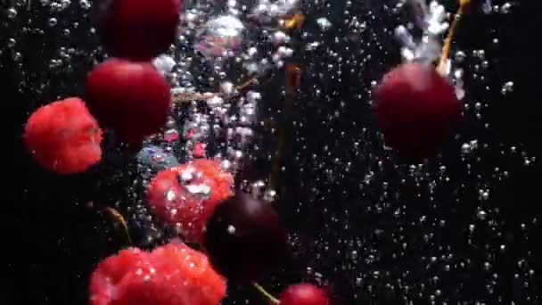 Langzame daling van bosbessen aardbei framboos in water op zwarte achtergrond — Stockvideo