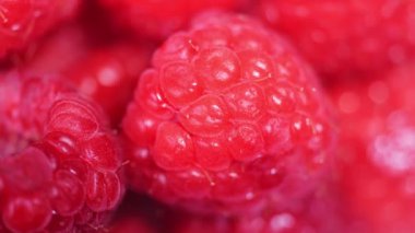 Ahududu yakın çekim rotasyonu. Büyük bir ahududunun makro videosu