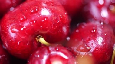 vişne yakın çekim dönüşümlü. makro video kirazlı