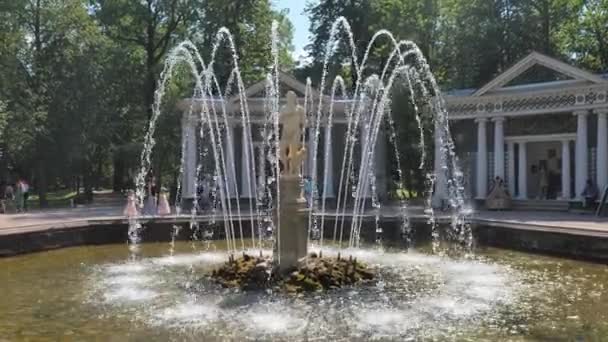 Peterhof. Rusia. San Petersburgo julio de 2021. Vista de la fuente en la parte inferior peterhof primer plano lento mo — Vídeo de stock