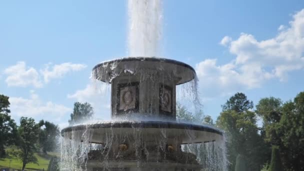 Peterhof. Rosja. Petersburga. Zbliżenie super powolny mo fontanna — Wideo stockowe