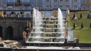 Peterhof. - Rusya. St. Petersburg Temmuz 2021. Çeşmelerin çağlayanı manzarası. Yavaş çekim