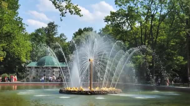 Peterhof. Rusia. San Petersburgo julio de 2021. Vista de la fuente en la parte inferior peterhof primer plano lento mo — Vídeo de stock