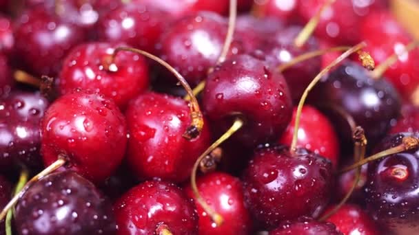Ripe red cherry close-up rotates — Stock Video