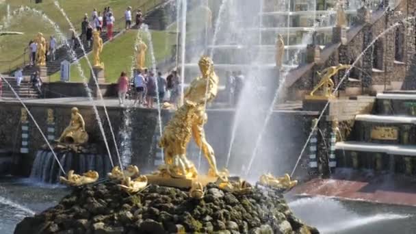 Peterhof. Rusland. Sint-Petersburg juli 2021. Uitzicht op de waterval van fonteinen. Langzame beweging — Stockvideo