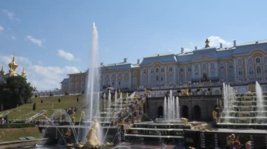 Peterhof. - Rusya. St. Petersburg Temmuz 2021. Çeşmelerin çağlayanı manzarası. Yavaş çekim
