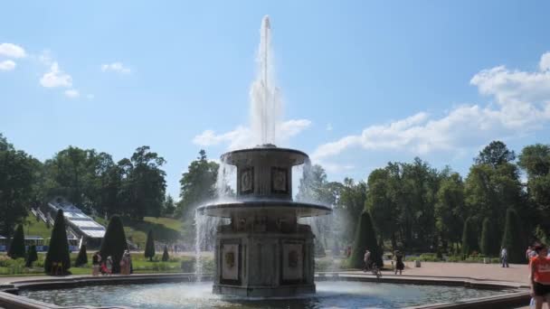 Peterhof. Rosja. Petersburg, lipiec 2021 r. Widok fontanny w dolnym Peterhof zbliżenie slow-up mo — Wideo stockowe