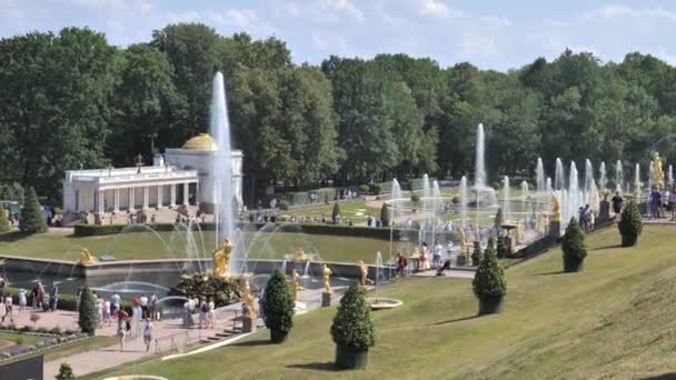 Aziz PETERSBURG, RUSSIA HAZİRAN 2021: İnsanlar Peterhof 'taki kraliyet çeşmelerine hayran — Stok video