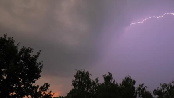 Super powolne błyskawice. Błyskawica w chmurach piorunów zbliżenie — Wideo stockowe