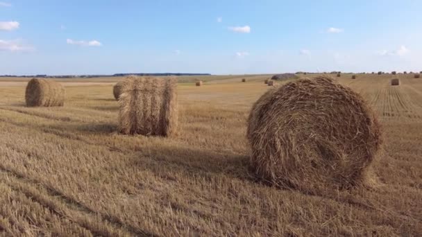 Вид на поле с вырезанным Мбаппе. Соломенные тюки на поле — стоковое видео