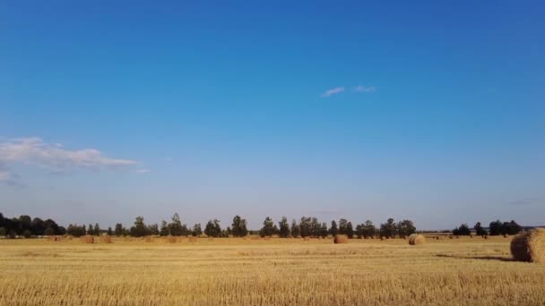 Вид на поле с вырезанным Мбаппе. Соломенные тюки на поле — стоковое видео