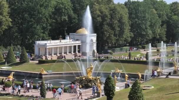 SAINT-PETERSBURG, RÚSSIA JUNHO 2021: As pessoas admiram as fontes reais em Peterhof — Vídeo de Stock