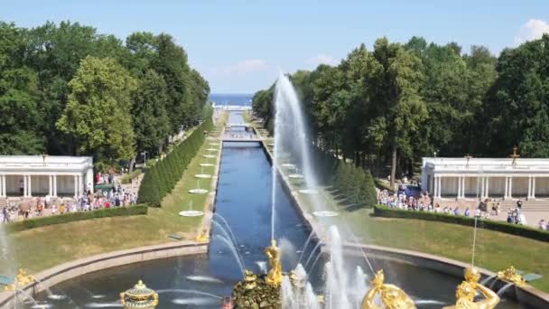 SAINT-PETERSBURG, RUSSLAND JUNI 2021: Menschen bewundern die königlichen Brunnen in Peterhof — Stockvideo