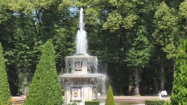 PETERSBURG, RUSIA-JULIO 2021. Fuentes romanas en peterhof — Vídeo de stock