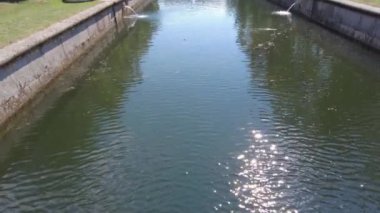 St.PETERSBURG, Rusya. Peterhof 'taki kanal ve çeşme.