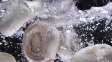 Şampiyon mantarlar yavaşça suya düşer. Yemek çok yavaş.