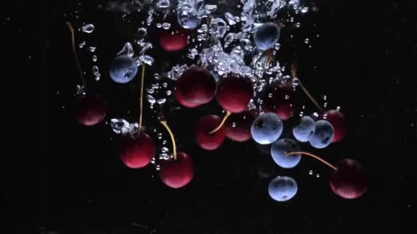 Jagody wpadają do wody powoli. truskawki jagody super powolne mo — Wideo stockowe