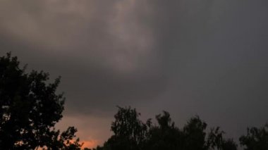 Yetişkin kızıl kedi masanın üstünde baş aşağı uyuyor.