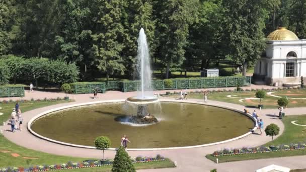 Peterhof, Russia - 21 luglio fontana peterhof ciotola francese — Video Stock