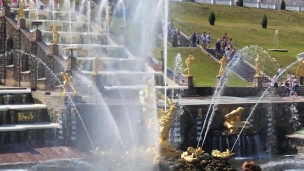SAINT-PETERSBURG, RUSSLAND JUNI 2021: Königsbrunnen in Peterhof — Stockvideo