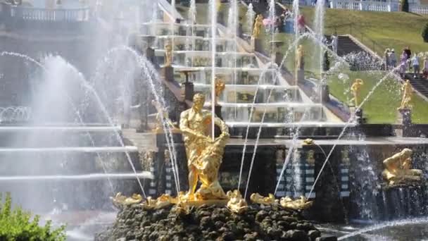 SAINT-PETERSBURG, RUSSIA JUNE 2021: royal fountains in Peterhof — Stock Video