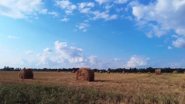 Вид на поле с вырезанным Мбаппе. Соломенные тюки на поле — стоковое видео
