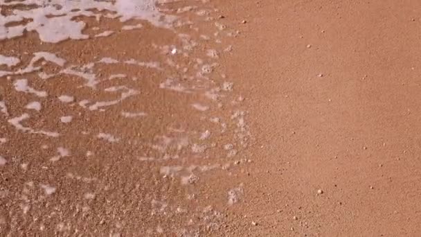 Při západu slunce. detail zpomalených vln na pláži — Stock video