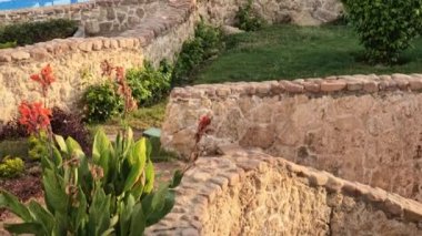 Şeyh Sharm. Mısır Eylül 2021 'de Mısır' daki bir otel odasından Kızıl Deniz manzarası. Rönesans Sharm El Sheikh Golden View Beach Resort