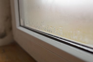 Dairenin içindeki cam camlarına su ve buhar damlaları. Yüksek içerideki nem, kötü havalandırma, soğuk hava etkisi, fotokopi alanı olan soyut bir arka plan. Yüksek kalite fotoğraf