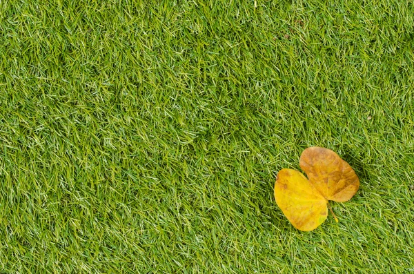 Background and Textured, Yellow Leaves