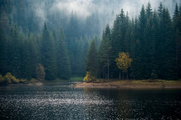 Туманный Горный Пейзаж Осенью Болгария — стоковое фото