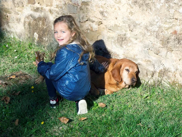 Lächelndes Mädchen Das Einer Wand Kauert Und Einen Hund Streichelt — Stockfoto