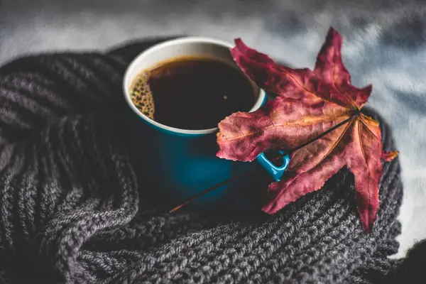 Caffè Americano Accanto Foglia Sciarpa Autunnale — Foto Stock