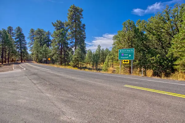 Devil Dog Road Che Conduce Alla Foresta Nazionale Kaibab Arizona — Foto Stock